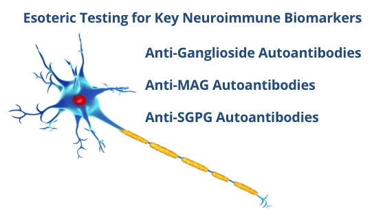 Buhlmann RUO Solutions_Neuroimmunology-Assays