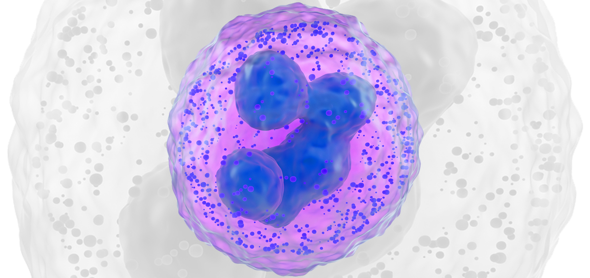 Clinical Applications Of The Basophil Activation Test In Food Allergy